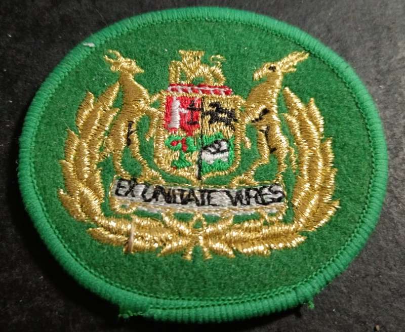 South African Prison Services Rank Badge