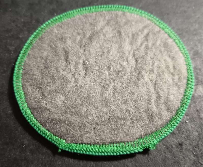 South African Prison Services Rank Badge