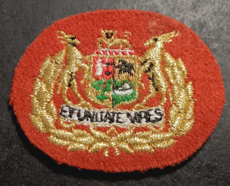 SADF - Warrant Officer Rank Badge