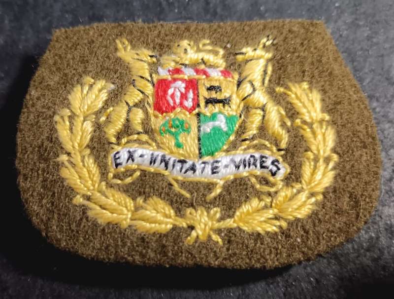 SADF -  Warrant Officer Rank Badge