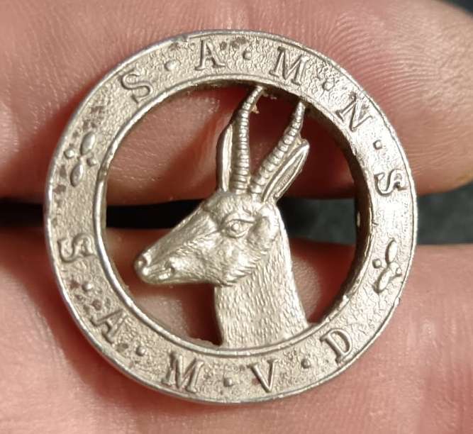 South African Military Nursing Service Cap Badge