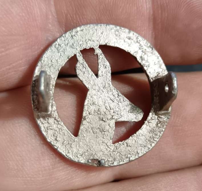 South African Military Nursing Service Cap Badge