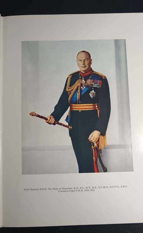 The Natal Mounted Rifles History
