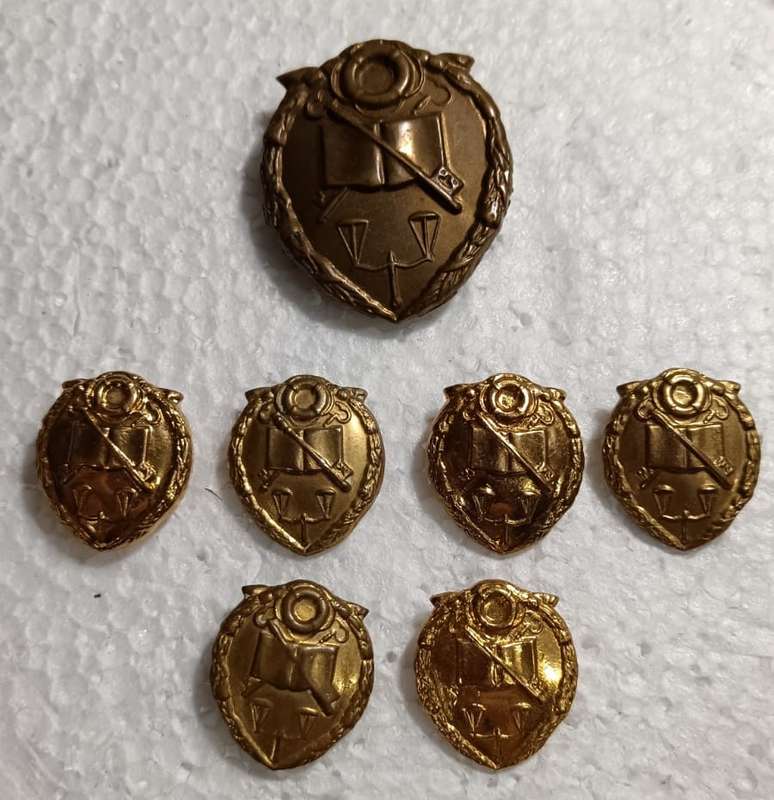 South African Prison Services Badge Lot