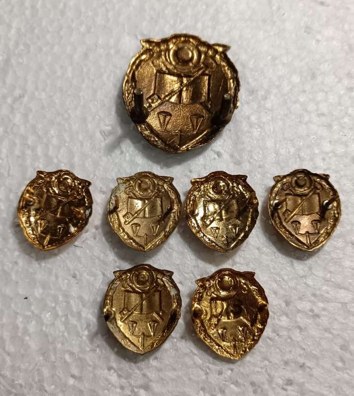 South African Prison Services Badge Lot