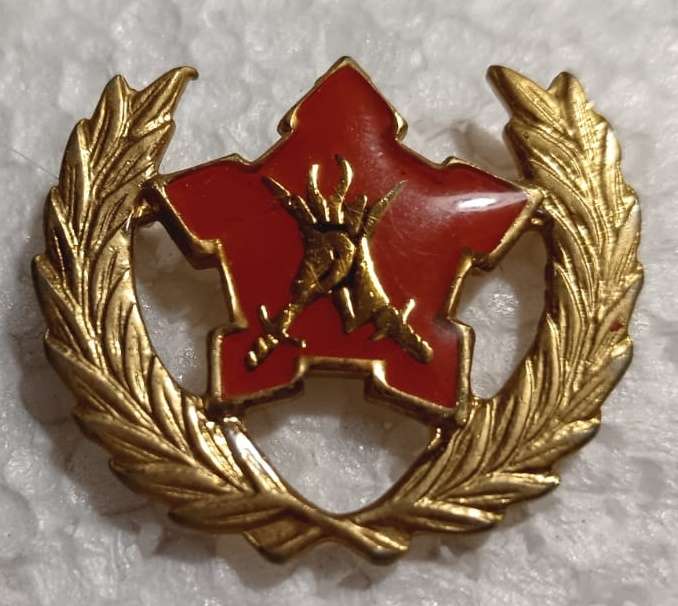 SADF - Army 5 Year Voluntary Service Breast Badge