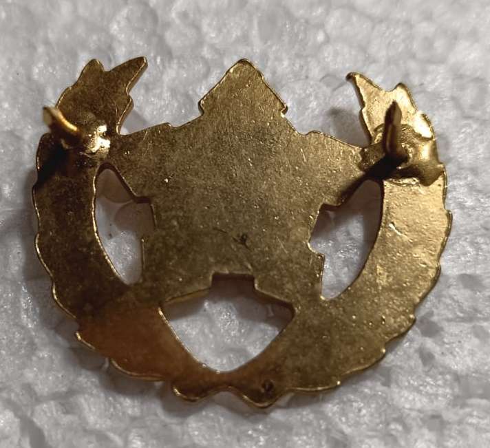 SADF - Army 5 Year Voluntary Service Breast Badge