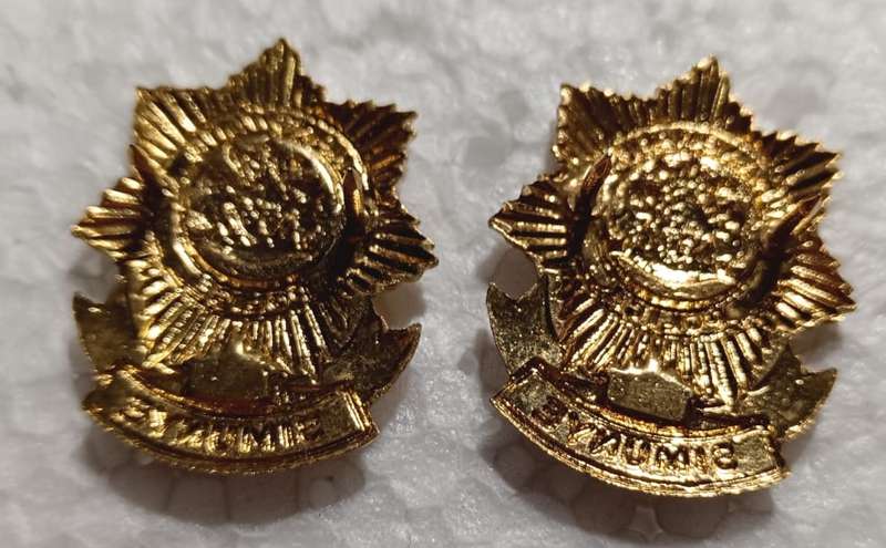 (Homelands) Kangwane Police Badge Pair