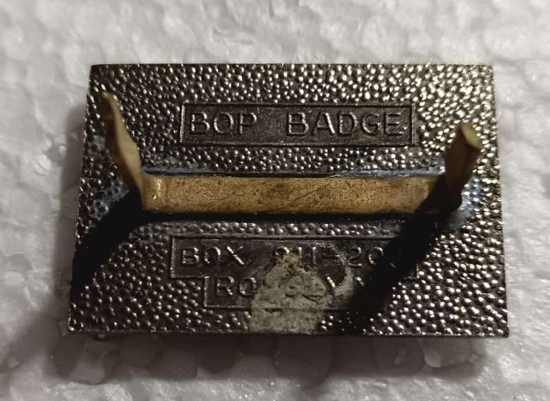 SADF - Cadets Fob Badge