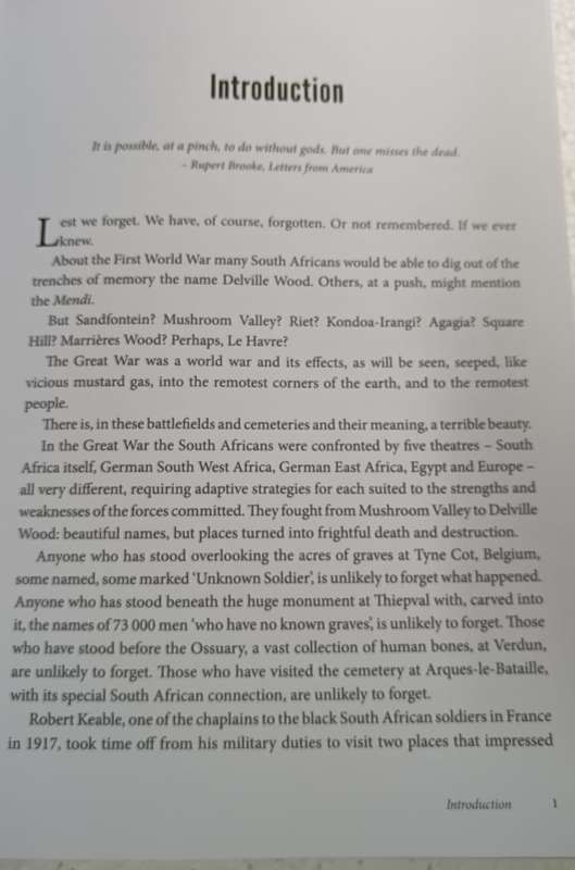 The Great Silence: From Mushroom Valley to Delville Wood, South African Forces in World War One Book