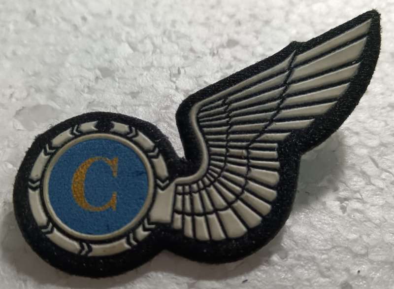 SADF - SAAF Wing