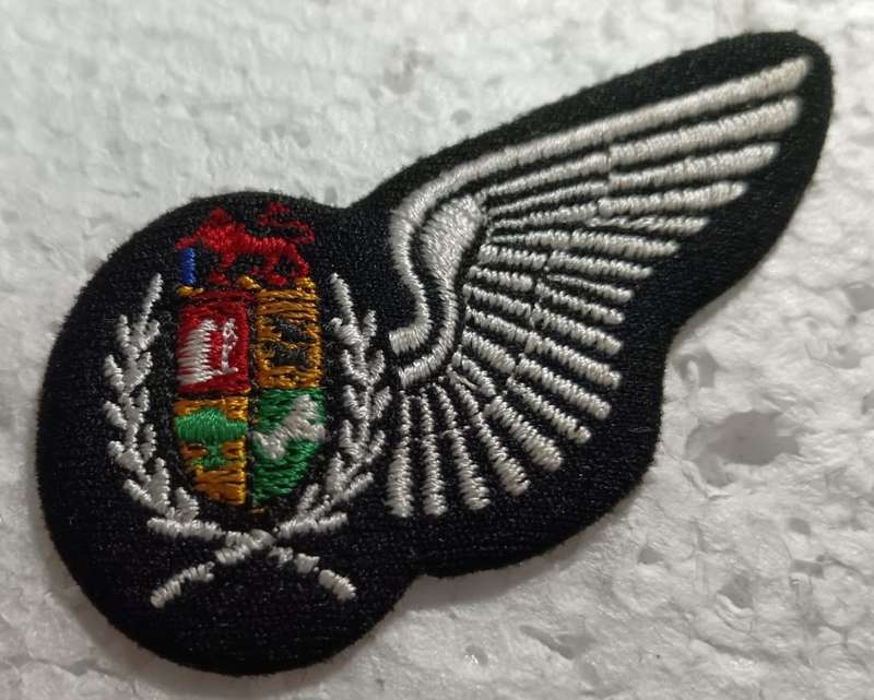 SADF - SAAF Observer Wing