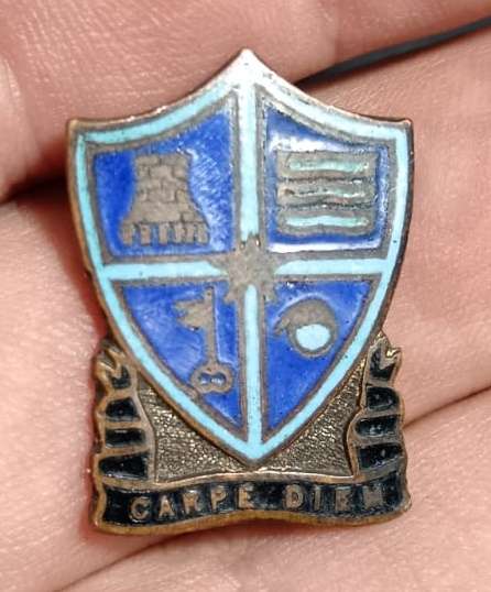 Unknown Pin Badge