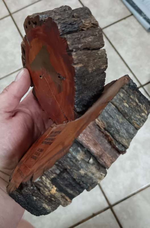 SADF - Service Shooting Trophy