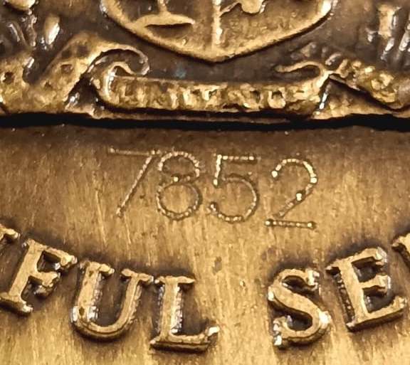 SAP Full Size Faitful Service Medal