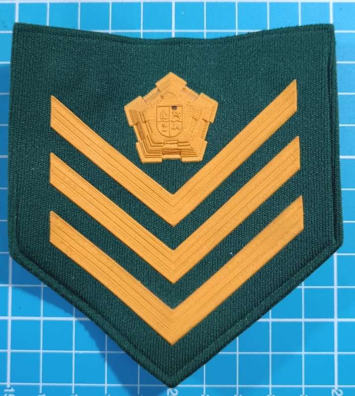 South African Prison Service Rank Badge