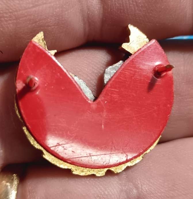Namibia Police Warrant Officer Rank Badge