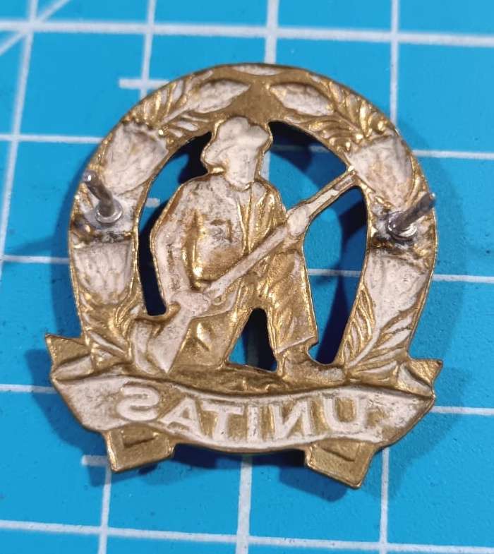 SADF - Commando Collar Badge