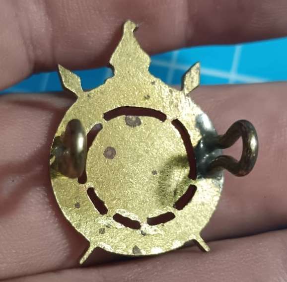 Zimbabwe - Intelligence Cap Badge