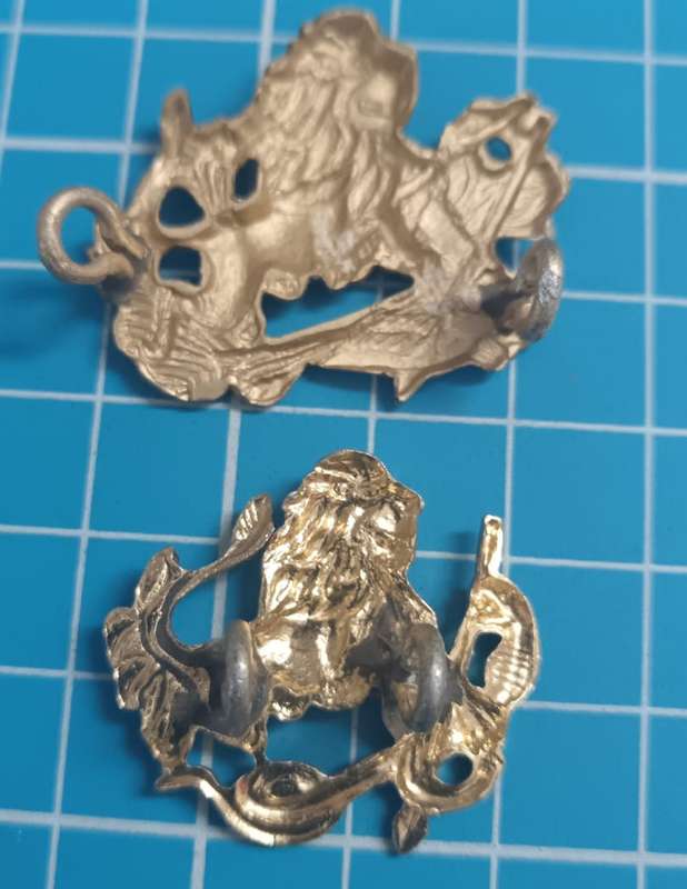 Rhodesia/Zimbabwe - Badge Pair