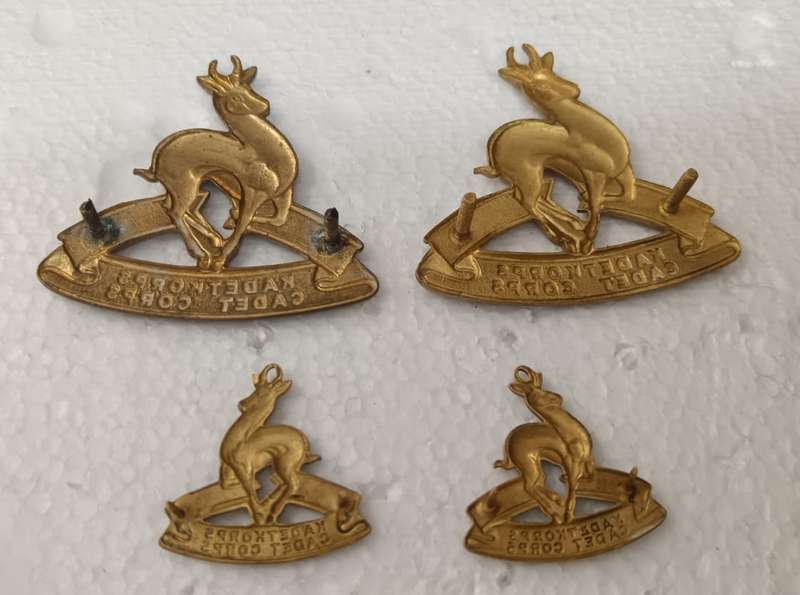 SADF - School Cadets Badge Lot