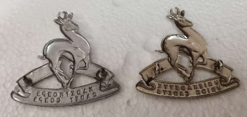 SADF - School Cadets Cap Badges
