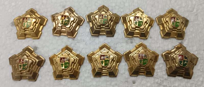 SADF/SANDF - Rank Castle Lot ( 10 Per Set - 14 Sets Available )