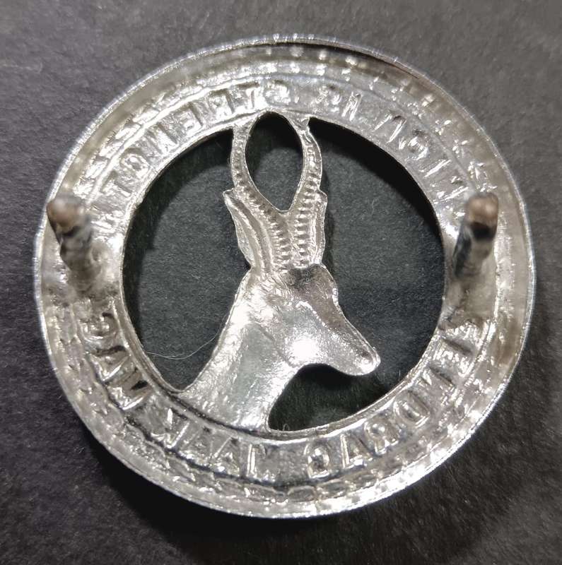 SADF - Union Badge