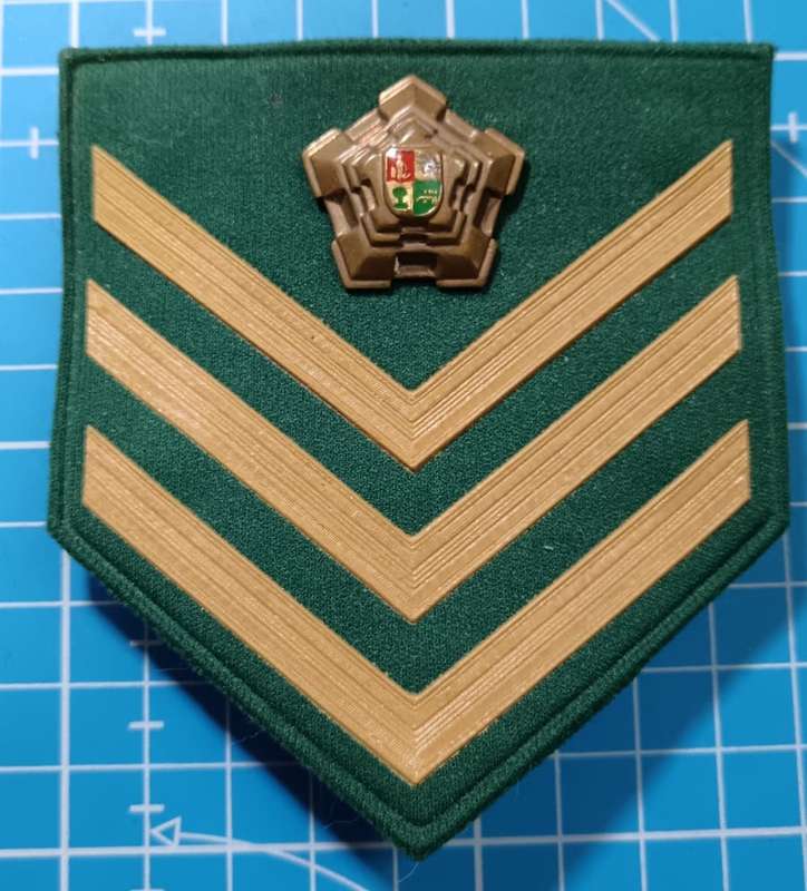South African Correctional Services Rank Badge