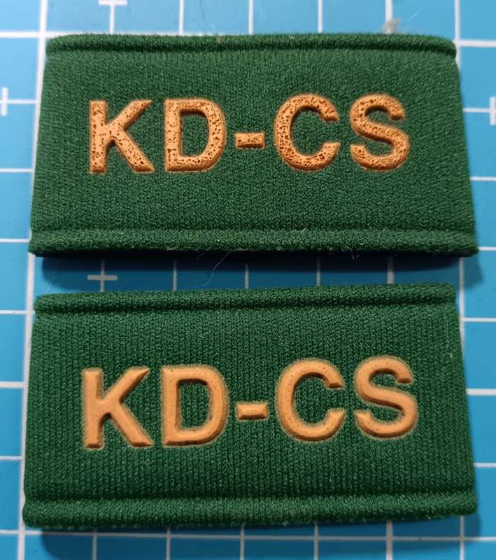 South African Correctional Services Rank Badges