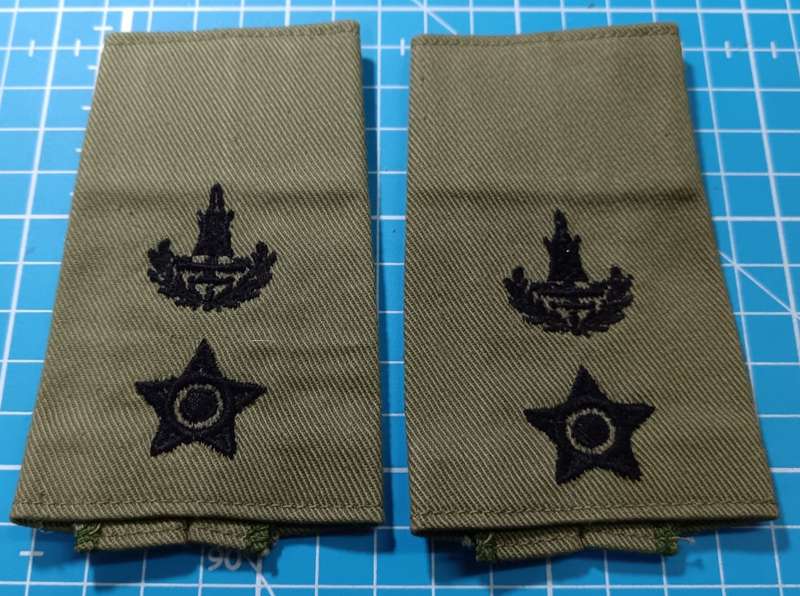 Rhodesia - Guard Force Slip on Ranks