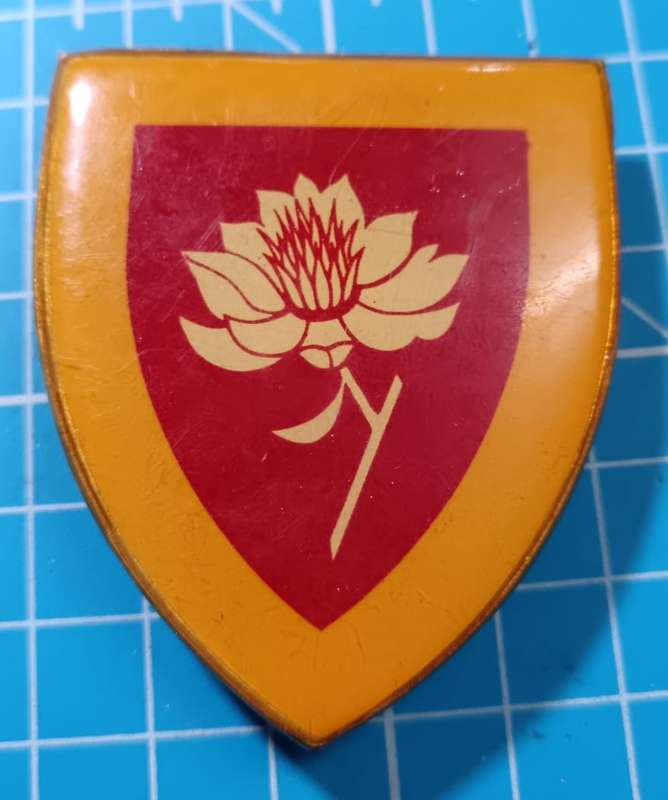 SADF - Womans College Shoulder Flash