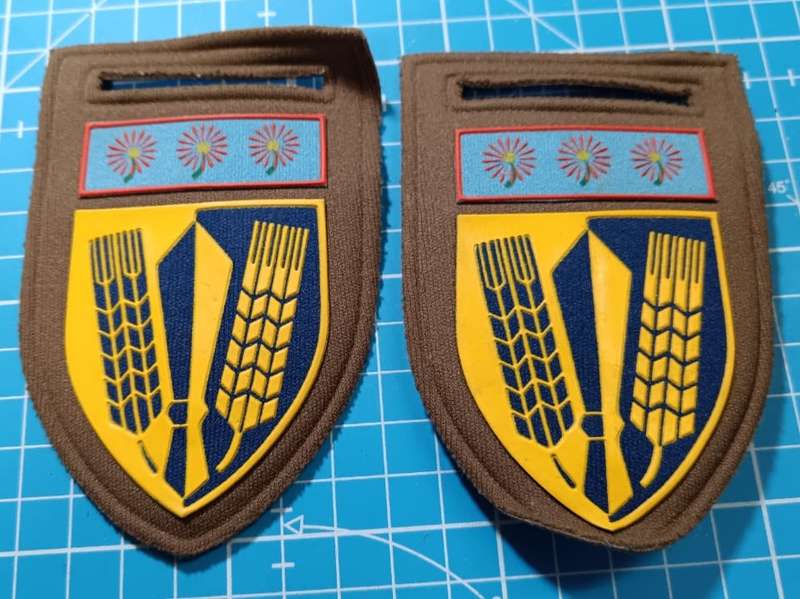 SADF - Catering Corps Tupper Flashes