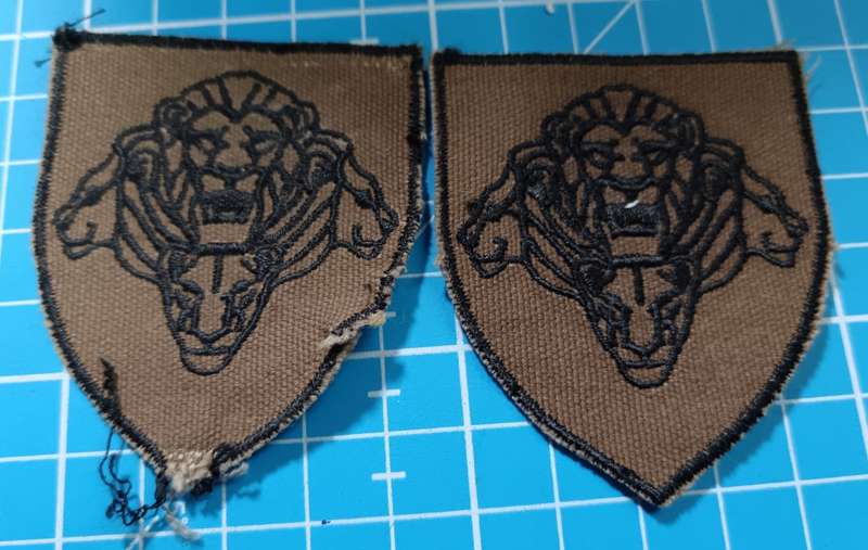 SANDF - Shoulder Flashes