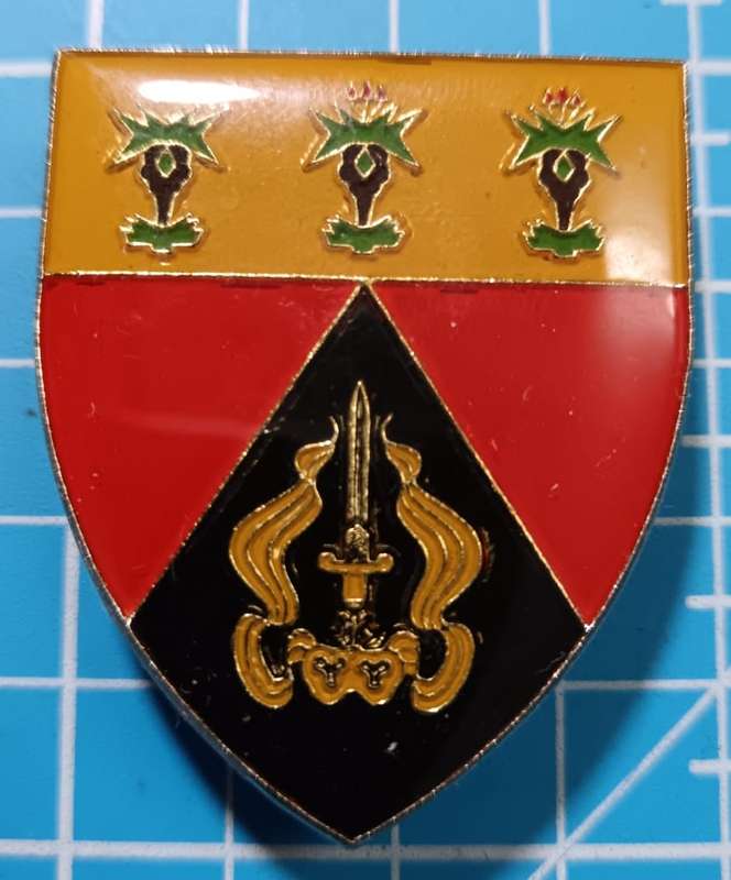 SADF - SWATF Provost Pocket Flash