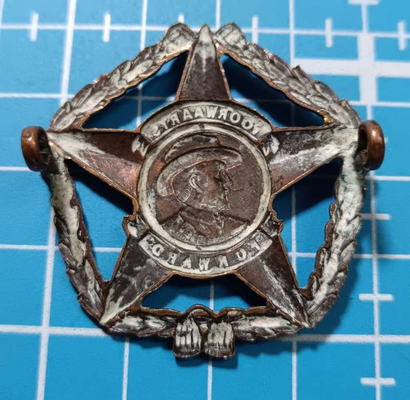 SADF - Regiment Botha Cap Badge