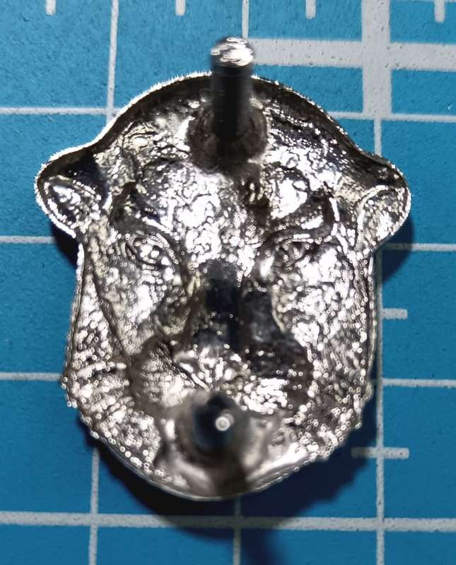 (Homelands) Bop National Guard Badge