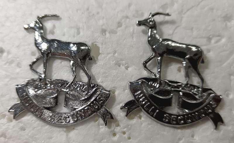 SADF - Regiment Pretoria Collar/Cap Badges