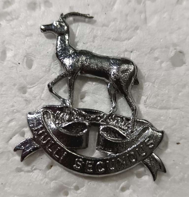 SADF - Regiment Pretoria Collar/Cap Badge