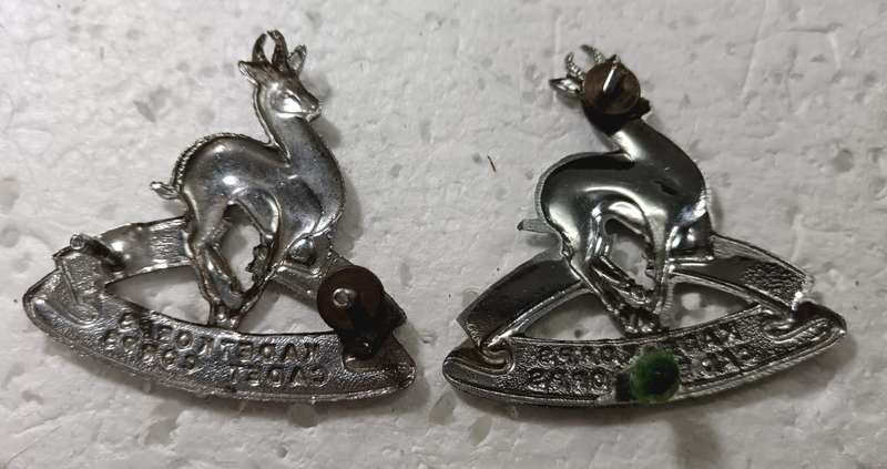 SADF - Pair of Cadet Cap Badges