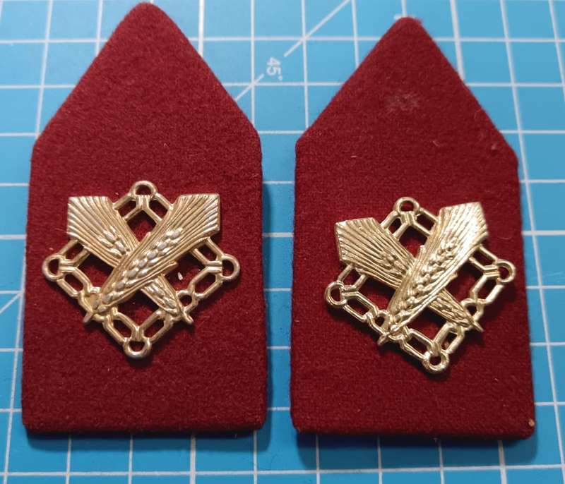 International - Dutch Army Shoulder Boards