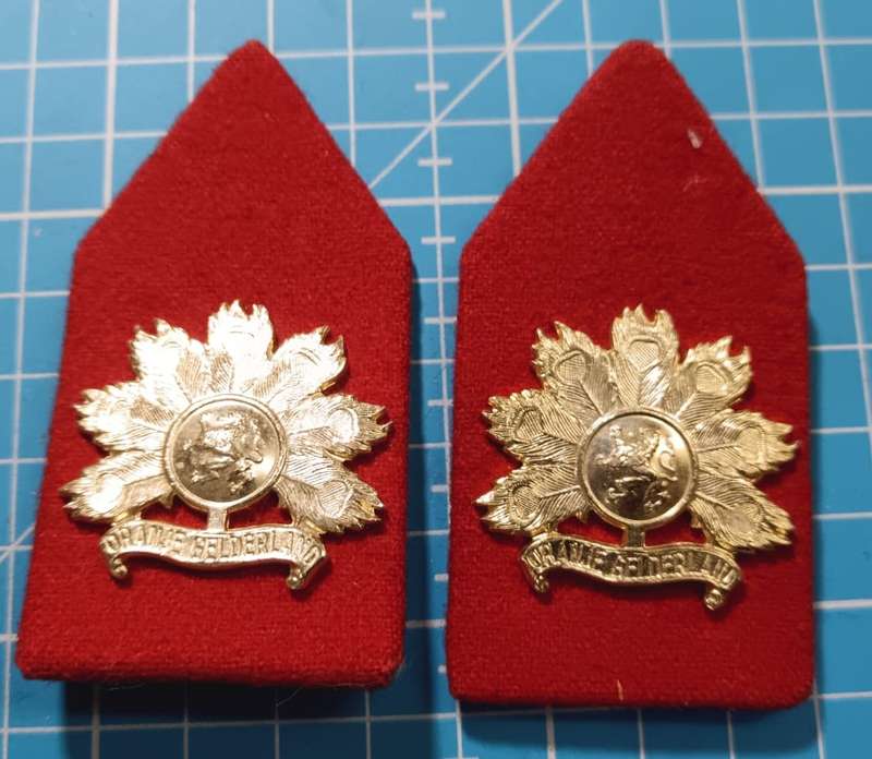International - Dutch Army Shoulder Boards