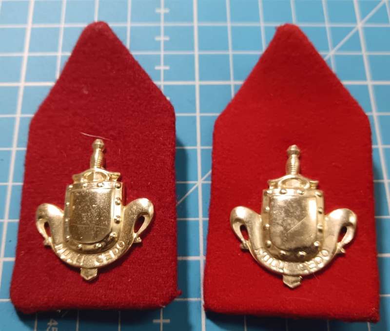 International - Dutch Army Shoulder Boards