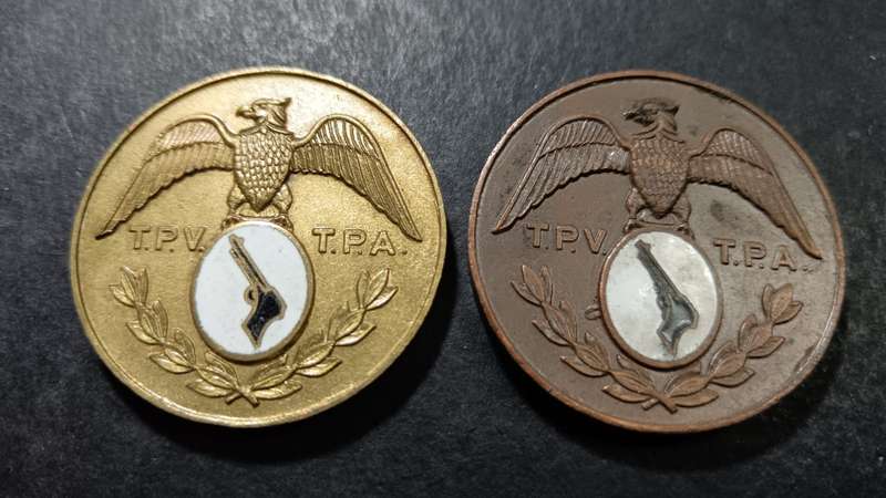 Pair of Shooting Medallions