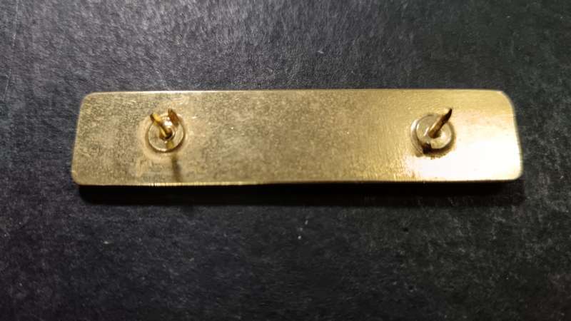 SANDF - Name Tag