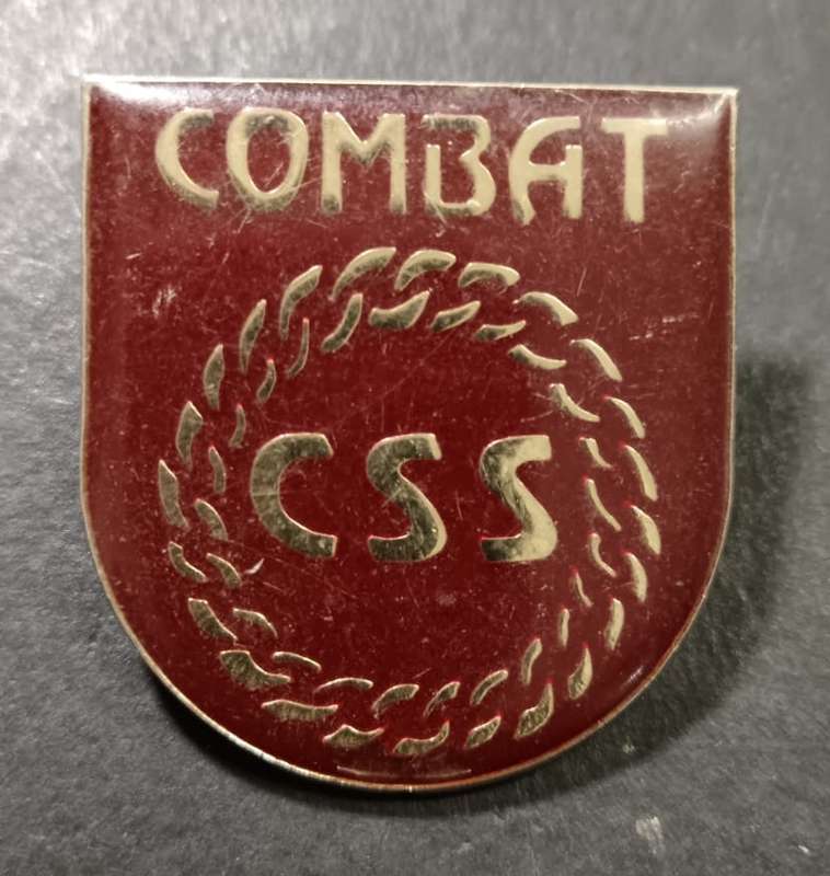 International - CSS Combat Cap Badge