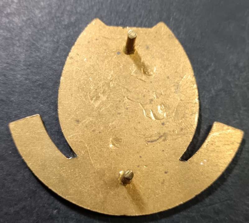South Africa African Transkei Mounted Battalion Flash Badge