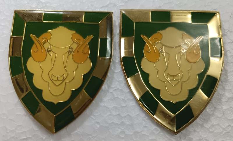 SADF - Regiment Groot Karoo Shoulder Flash Pair