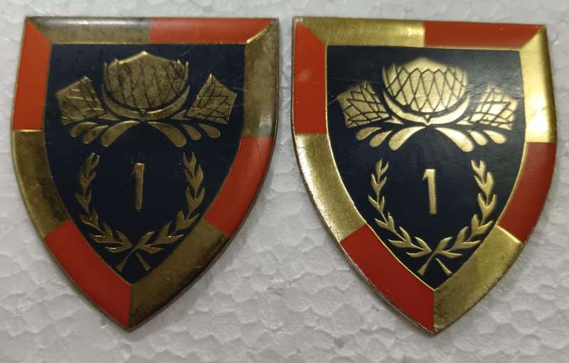SADF - 1 Special Services Battalion -  Shoulder Flash Pair