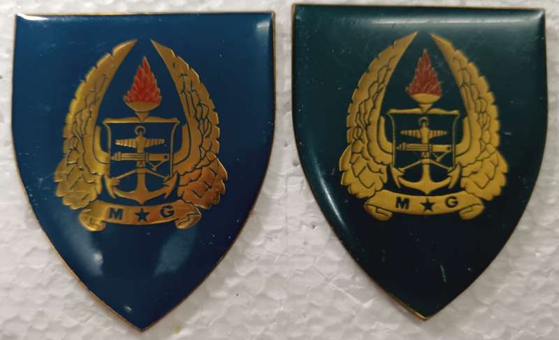 SADF - Army Gymnasium Shoulder Flash Pair